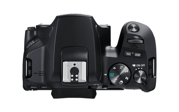 Canon EOS 250D with EF-S 18-55mm IS STM Kit - Image 2