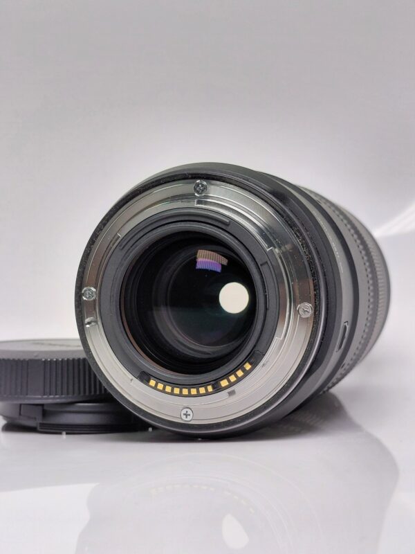 Canon 100mm macro RF