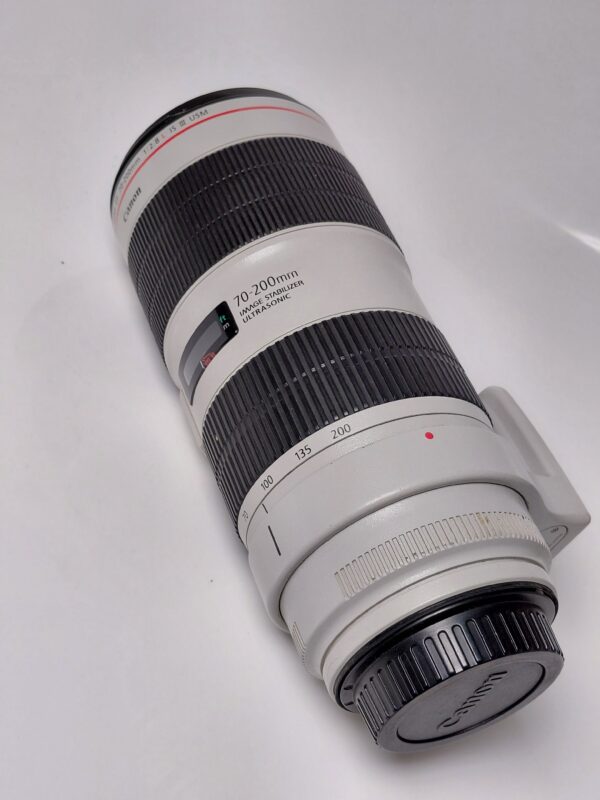 Canon 70-200 iii F2.8 - Image 4