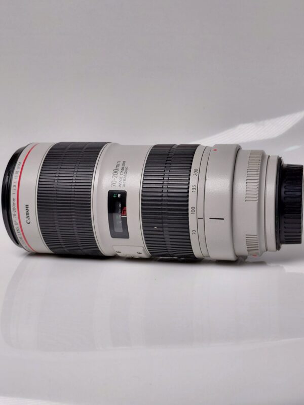 Canon 70-200 iii F2.8 - Image 2