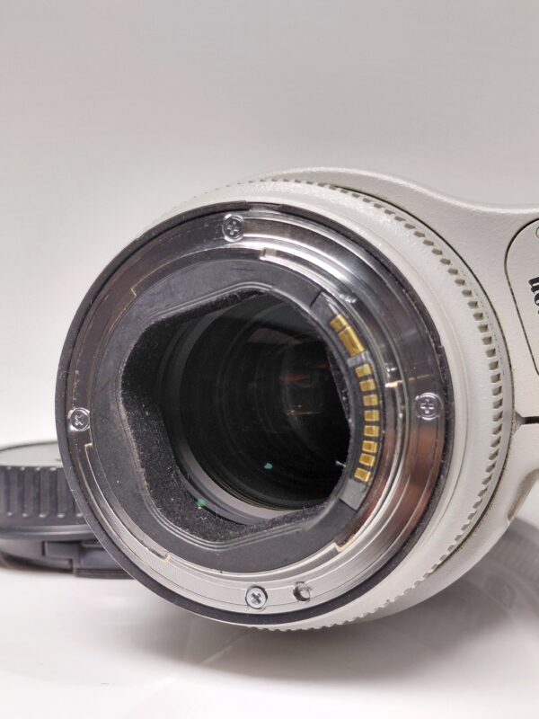 Canon 70-200 iii F2.8 - Image 3