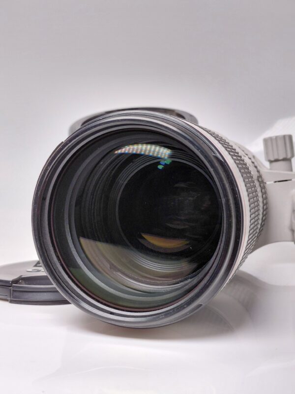 Canon 70-200 iii F2.8 - Image 5
