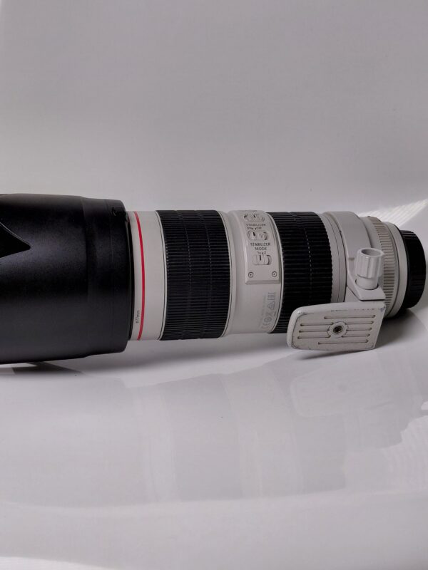 Canon 70-200 iii F2.8 - Image 6