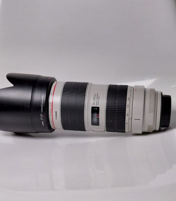 Canon 70-200 iii F2.8