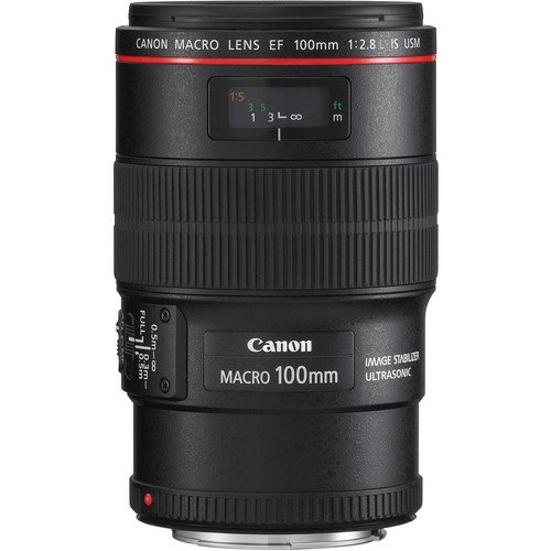 Canon EF 100mm f/2.8L Macro IS USM - Image 4