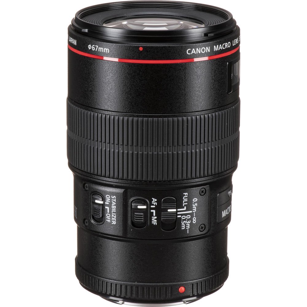 Canon EF 100mm f/2.8L Macro IS USM - Image 6