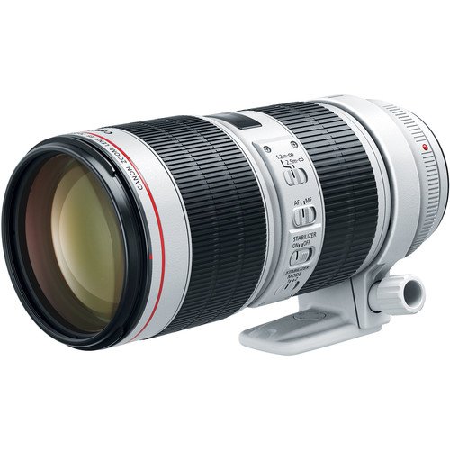 Canon EF 70-200mm f/2.8L IS III USM - Image 3