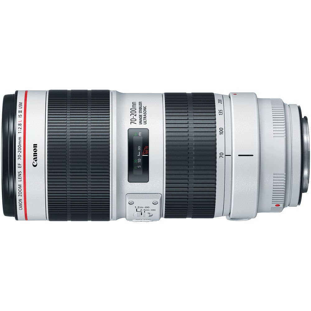 Canon EF 70-200mm f/2.8L IS III USM - Image 5