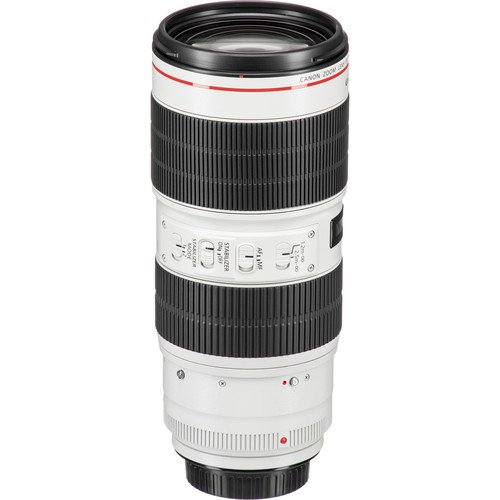 Canon EF 70-200mm f/2.8L IS III USM - Image 4