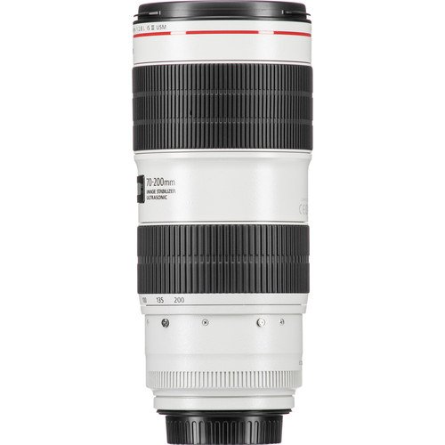 Canon EF 70-200mm f/2.8L IS III USM - Image 6