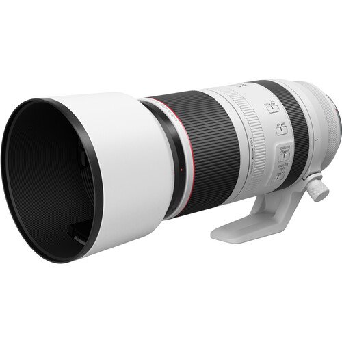 Canon RF100-500mm F4.5-7.1 L IS USM - Image 3